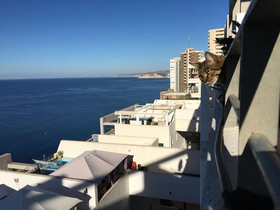 Piso En La Primera Linea Del Mar Con 2 Dormitorios Бенидорм Экстерьер фото
